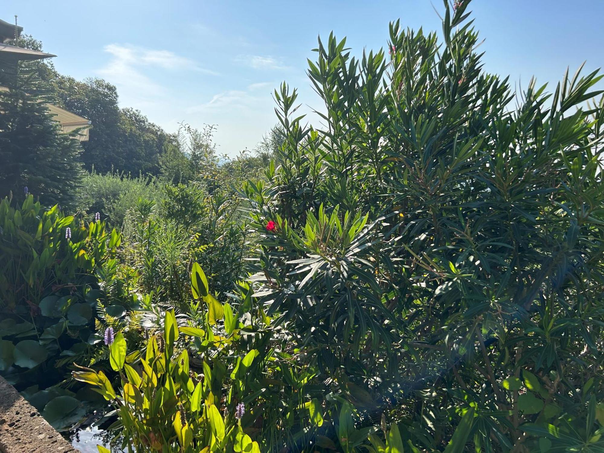 Agriturismo Al Robale Almenno San Bartolomeo Bagian luar foto